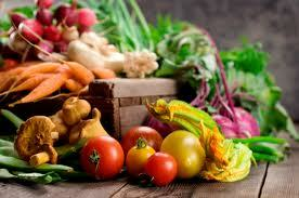 photo of harvest, radish, carrot, tomato, lettuce, basil, onion